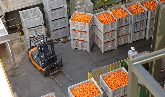 Unión de Uniones pide a Luis Planas que exija ante la UE una uniformidad de los criterios inspectores de los productos agroalimentarios importados - 1, Foto 1
