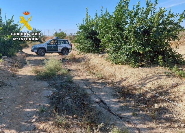 La Guardia Civil investiga a un cazador por la captura masiva e ilícita de liebres en Torre Pacheco - 2, Foto 2