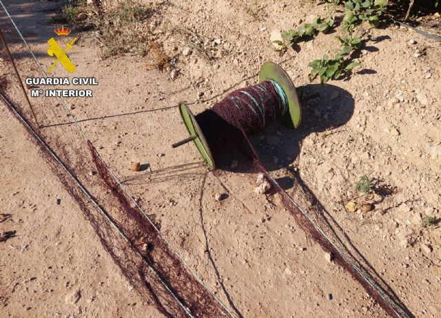 La Guardia Civil investiga a un cazador por la captura masiva e ilícita de liebres en Torre Pacheco - 3, Foto 3