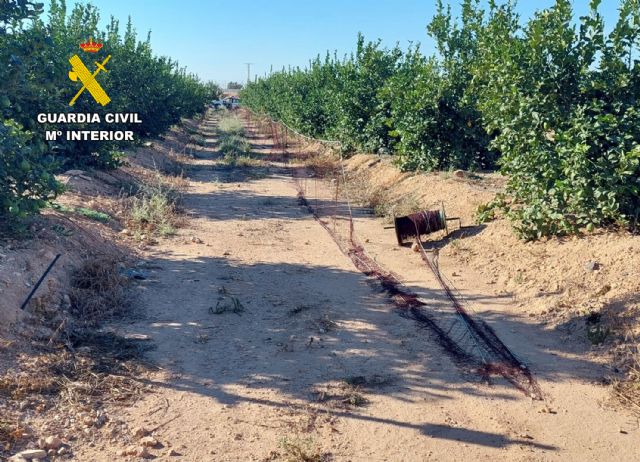 La Guardia Civil investiga a un cazador por la captura masiva e ilícita de liebres en Torre Pacheco - 4, Foto 4