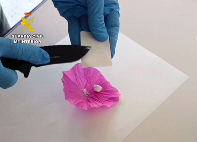 La Guardia Civil desmantela el punto más activo de venta de droga de Torre Pacheco - 1, Foto 1