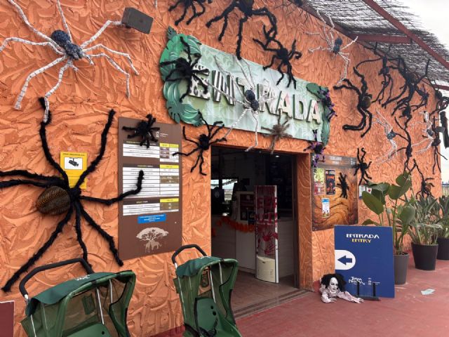 El zoológico municipal Terra Natura celebra un fin de semana temático sobre Halloween y el Día de los Muertos con juegos, magia y diversión - 2, Foto 2
