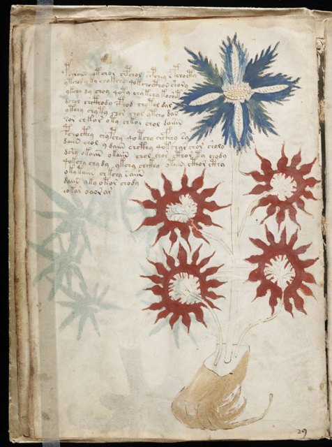 Un murciano descifra el Manuscrito Voynich por primera vez - 1, Foto 1