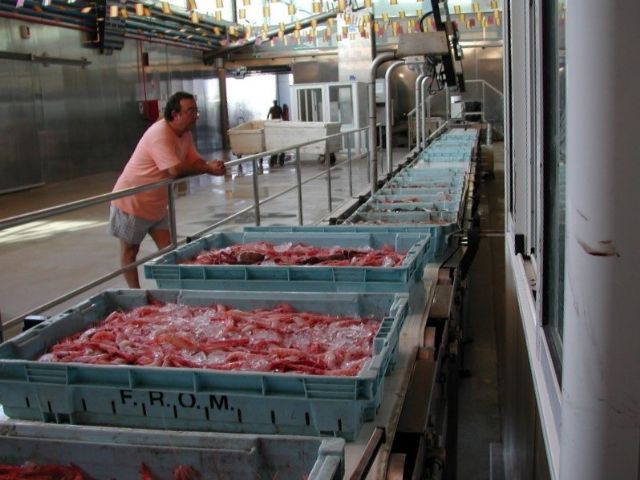 La Comunidad concede ayudas al sector pesquero por valor de 131.700 euros - 1, Foto 1