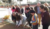 Nuevo huerto ecolgico escolar en el colegio Virgen de la Vega de Murcia
