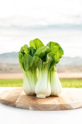 Primaflor lo cultiva desde hace ms de diez anos en su campo almeriense