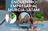 Encuentro empresarial entre emprendedores de Amrica-Latina y emprendedores del municipio de Murcia