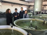 El IMIDA lleva a cabo proyectos de investigación para desarrollar una acuicultura sostenible en la Región