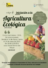 Aprende a cultivar tus propios alimentos en un huerto