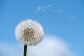 Tratamientos y Enfermedades da 5 consejos para combatir las alergias estacionales