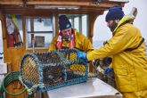 'Mares Para Siempre', el camino hacia la sostenibilidad de la pesca en España