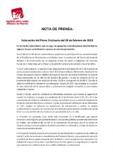 Valoración del Pleno Ordinario del 28 de febrero de 2023