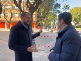 Los socialistas continúan imparables con la tala de árboles en Murcia