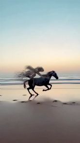 'Reel or Die': la ensima apuesta del IBAFF por los nuevos formatos