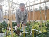 La agricultura regional se convierte en referente en la mejora gentica de semillas de hortcolas