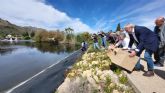 El Gobierno regional refuerza su compromiso con la biodiversidad con la suelta de 30 cercetas pardillas ms en la Comunidad