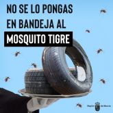 Salud lanza hoy una campaña para evitar la proliferacin del mosquito tigre