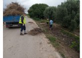 Brigada municipal: trabajos del 1 de junio