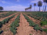 El sello “Agricultura Sostenible Verificada”: Una chapucera operación de Greenwashing de la CARM