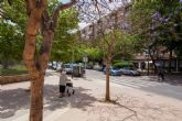 El Ayuntamiento de Cartagena sustituirá cuarenta árboles por riesgo de caída
