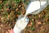 NNGG Cieza, en colaboracin con NNGG Regin de Murcia, organiza una campana de recogida de leche para las personas ms desfavorecidas