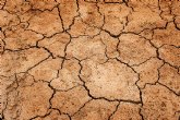 Especialistas de la Europa meridional buscarán soluciones a la desertificación en un foro organizado por la UMU