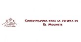 La Coordinadora del Molinete exige al Gobierno Municipal que no venda el yacimiento de Morera