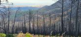 Prevenir el fuego es gestionar el territorio. un cambio de enfoque imprescindible
