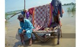INUNDACIONES en Pakistán. Acción contra el Hambre interviene en las zonas más afectadas