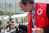 Cruz Roja resalta la importancia de visibilizar aportaciones de las personas mayores en el Día Internacional de las Personas de Edad