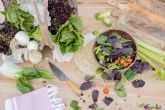 Lechuga y espinaca, las verduras preferidas por los consumidores
