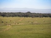 La Fundacin Savia considera que la ganadera extensiva sigue siendo perjudicada en la nueva PAC