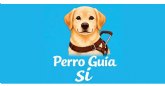 Cerca de 300 taxis de Murcia lucen el distintivo “Perro Guía Sí” para defender los derechos de las personas con discapacidad visual