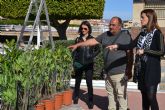 El Ayuntamiento lleva a cabo trabajos de mejora en los jardines del paseo de La Colonia