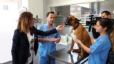 La Concejala de Sanidad constata un incremento del nmero de perros identificados con el correspondiente microchip que se eleva hasta los 12.325