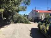 El Ayuntamiento de Lorca activa el Nivel 0 del Plan de Emergencia Municipal ante el aviso de nivel naranja por rachas de viento emitido por AEMET