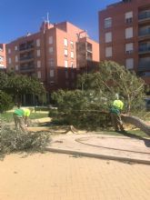 El 112 recibe cerca de medio centenar de avisos ocasionados por las fuertes rachas de viento registradas desde la pasada madrugada en Lorca
