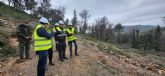 Destinan 21 millones de euros en los últimos dos años para frenar el decaimiento forestal