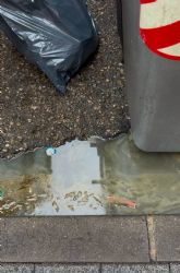 Murcia sigue sucia y el PP desaparecido