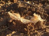Plásticos en las playas del Mar Menor: Pacto alerta de una presión ambiental en aumento
