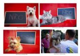 El Ayuntamiento de Lorqu organiza el concurso para elegir a la mascota de Lorqu 2016