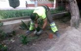 El Ayuntamiento repone ms de 1.500 ejemplares de plantas arbustivas en las zonas verdes de Murcia