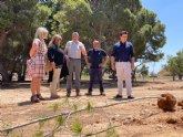 El Ayuntamiento de San Javier planta 200 nuevos pinos en la Pinada de San Blas