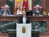 El PP tumba la iniciativa de Podemos-IU-AV para ampliar los beneficios de familia numerosa a hogares con dos hijos