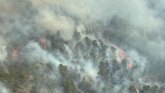 Incendio forestal en Los Garres y Lages