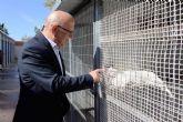 El Ayuntamiento saca a licitacin el nuevo contrato del Centro de Acogida de Animales (CATAD)
