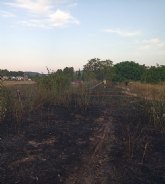Incendio de matorral junto a la Estacin de la Va Verde en Cehegn