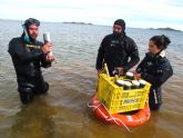 UPCT e Instituto Español de Oceanografía analizan los fondos del Mar Menor