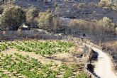 La Plataforma Gredos Vivo reivindica el valor del vinedo en la gesti�n sostenible del territorio