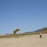 Aeromodelos de todo tipo toman el cielo de Torrealvilla con 21 pilotos inscritos en la exhibicin de vuelo